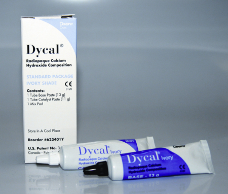 Dycal Export copy scaled